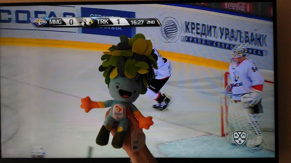 rio2016florafauna