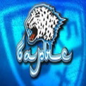 barys