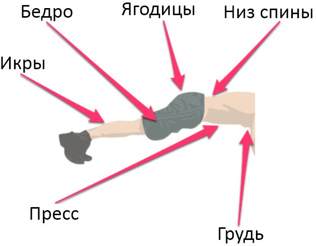planka46