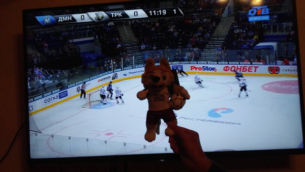 zabivaka1