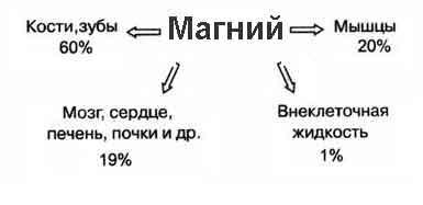 Szle1s7P4rA