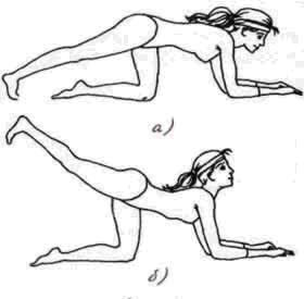 body 1