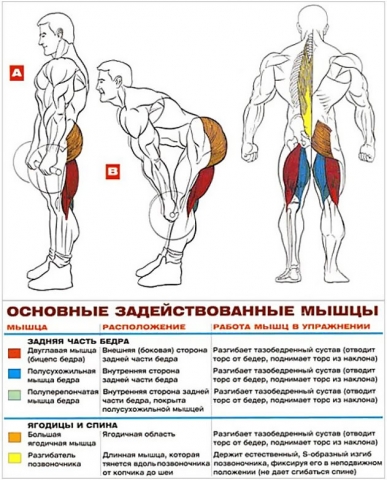 Ruminskaya tyaga