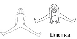 shlyupka2