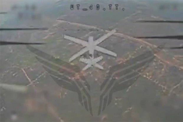 owl pic 620 52e9043d8606d10bf1b0b2b532c74169