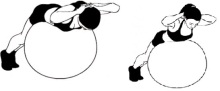 razgibaniya-na-myache