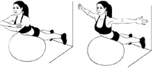 verhnii-otdel-spini