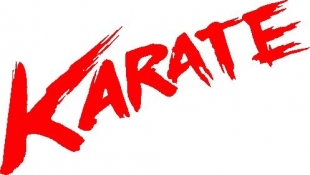 Каратэ начинается с поклонов