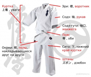 Как называются части кимоно (доги)