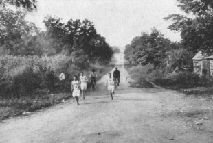 Скандальный марафон на III Олимпийских Играх 1904 года в Сент-Луисе