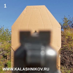 Как правильно прицелиться в мишень, обработать спуск пистолета и произвести выстрел