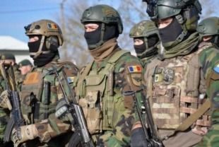 Новости спецназа 28 ноября 2025 года